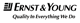 Visite Ernst and Young