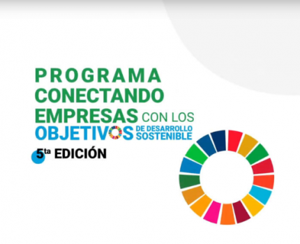 Argentina: Business solutions in support of the Sustainable Development Goals